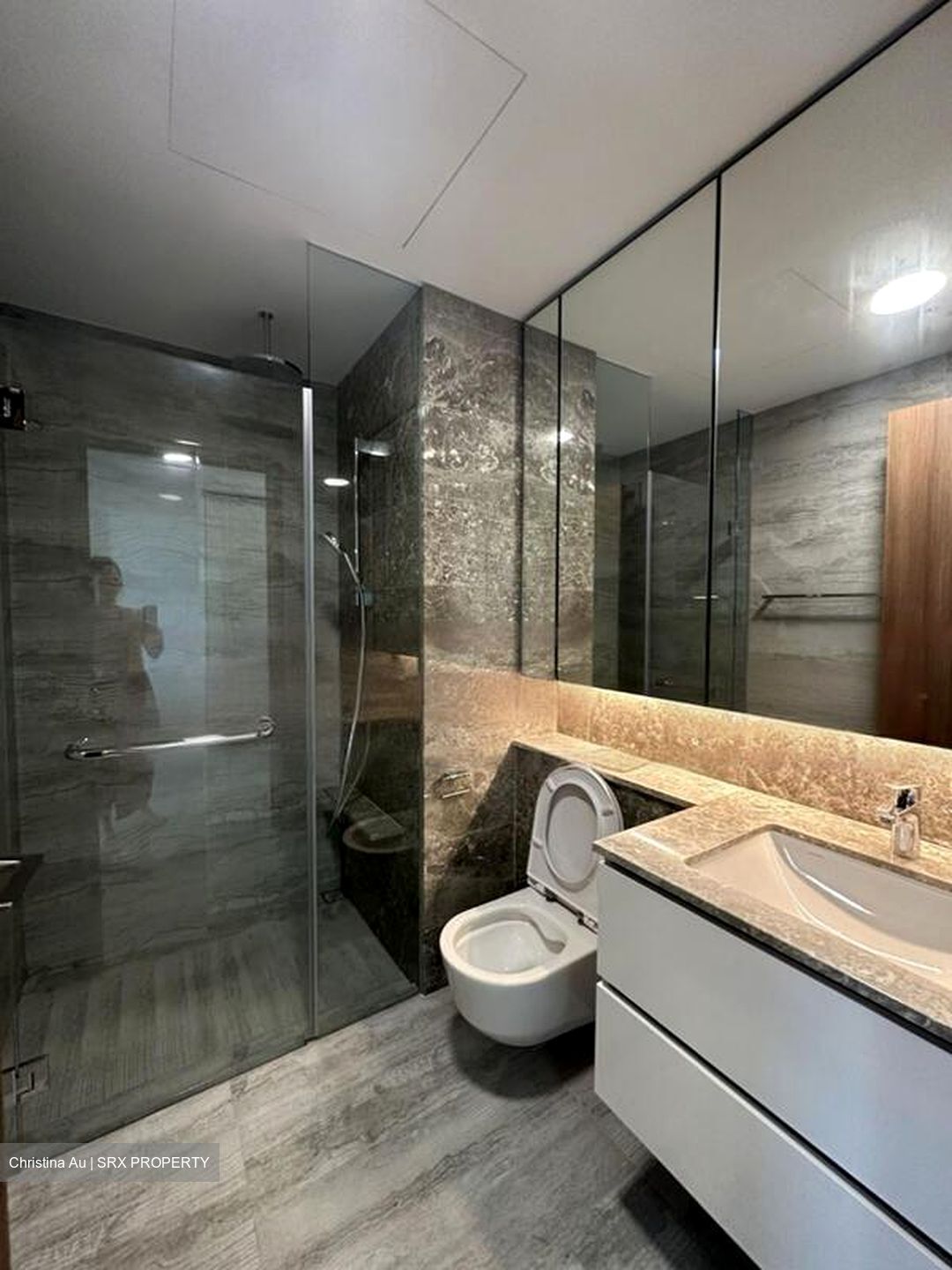 Fourth Avenue Residences (D10), Apartment #496699301